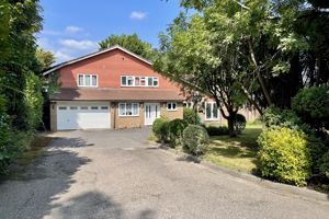 Photo 3- click for photo gallery